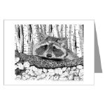 Raccoon Pen and Ink Greeting Card by NANCE